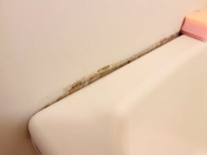 カビ汚れを掃除したい